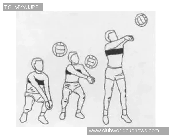 从零起步掌握排球技巧与战术全解析助你成为排球高手